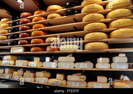 Roues de gouda à la vente dans le ''t' Kaaswinkeltje fromager à Gouda, Hollande méridionale, Pays-Bas. Banque D'Images