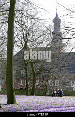 Château, crocus, fleurs, jardins du château de Husum, Schleswig-Holstein, Allemagne Banque D'Images