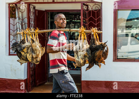 L'opérateur Malgache porte poulets pour le marché en Enfer Ville, une ville à l'Nosy Be Banque D'Images