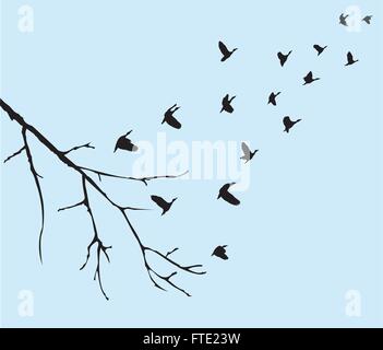 Vector illustration of flying birds silhouettes avec tree branch Illustration de Vecteur