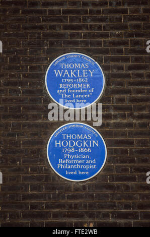 Londres, Thomas Wakley Plaques Bleu et Thomas Hodgkin Banque D'Images