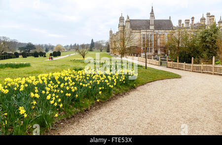 Le secteur sud jardins offrant un magnifique écran saisonniers de narcisses à Burghley House, Cambridgeshire, Angleterre, Royaume-Uni. Banque D'Images