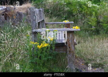 Banquette en bois fleurs jaune Banque D'Images
