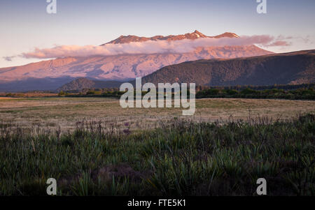 Vue du Mt. Ruapehu dans le Parc National de Tongariro Banque D'Images