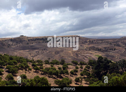 Les paysages spectaculaires - Parc national du Simien, l'Éthiopie. Banque D'Images