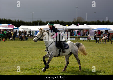 Thame, Oxon, UK. 27 mars, 2016. Salon de l'agriculture en plein air d'été tenue à Thame, Royaume-Uni. Crédit : David Rowlands/Alamy Live News Banque D'Images