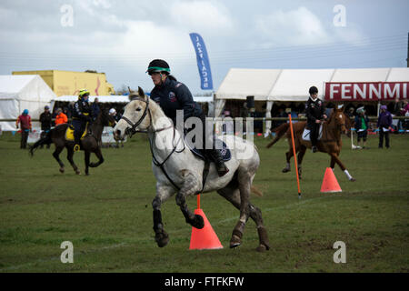 Thame, Oxon, UK. 27 mars, 2016. Salon de l'agriculture en plein air d'été tenue à Thame, Royaume-Uni. Crédit : David Rowlands/Alamy Live News Banque D'Images