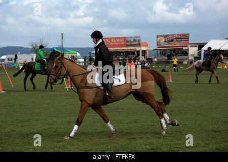 Thame, Oxon, UK. 27 mars, 2016. Salon de l'agriculture en plein air d'été tenue à Thame, Royaume-Uni. Crédit : David Rowlands/Alamy Live News Banque D'Images