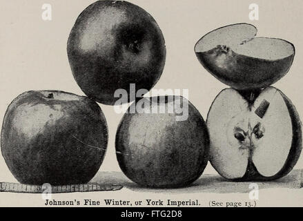 Catalogue descriptif des fruits et des arbres ornementaux - grape-vignes, petits fruits, arbustes, plantes, etc. (1902)