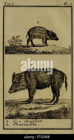 Cette assiette de 'histoire naturelle, générale et particulière' présente des représentations détaillées de spécimens d'histoire naturelle, dont les collections du cabinet royal, mettant l'accent sur les animaux et les plantes. Banque D'Images