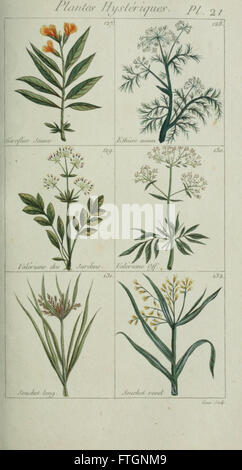 Plantes usuelles, indigC3A8nes et exotiques (Pl. 21) Banque D'Images