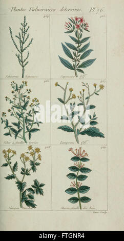 Plantes usuelles, indigC3A8nes et exotiques (Pl. 76) Banque D'Images