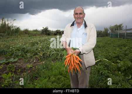 Farmer afficher les carottes dans le potager par Pako Mera Pic Banque D'Images