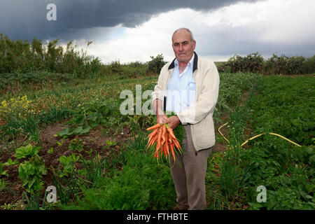 Farmer afficher les carottes dans le potager par Pako Mera Pic Banque D'Images