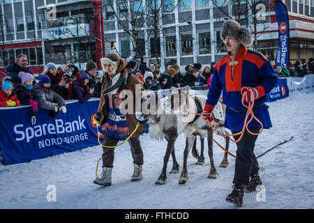 Tromso 2016 course de rennes Banque D'Images