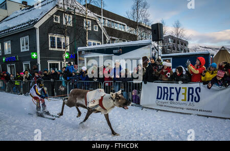 Tromso 2016 course de rennes Banque D'Images