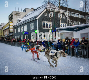 Tromso 2016 course de rennes Banque D'Images