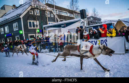 Tromso 2016 course de rennes Banque D'Images