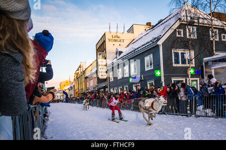 Tromso 2016 course de rennes Banque D'Images