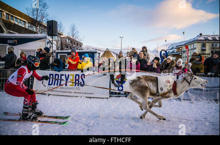 Tromso 2016 course de rennes Banque D'Images