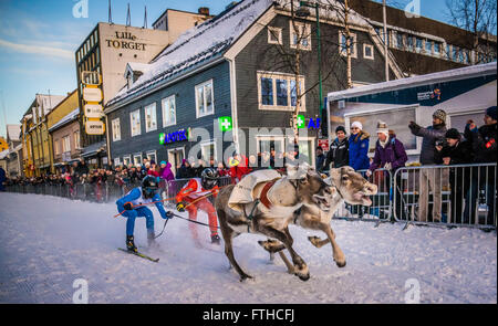 Tromso 2016 course de rennes Banque D'Images