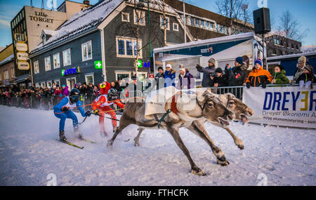 Tromso 2016 course de rennes Banque D'Images