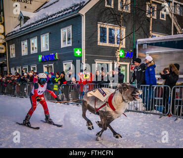 Tromso 2016 course de rennes Banque D'Images