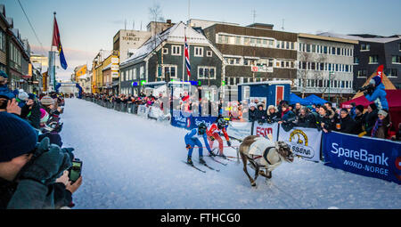 Tromso 2016 course de rennes Banque D'Images