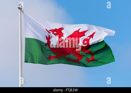 Pays de Galles montrant drapeau dragon dans le vent sur une journée ensoleillée. Banque D'Images