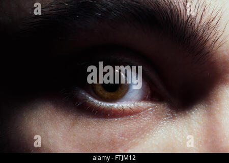 Œil brun du jeune homme macro Banque D'Images