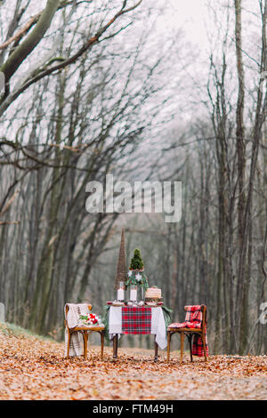 Tableau de créativité avoyées pour deux et décorées avec des décorations de Noël dans la forêt d'automne Banque D'Images