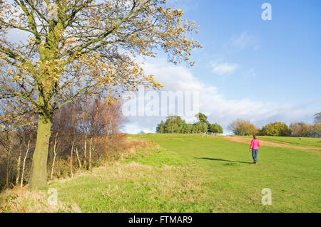 Marcher sur le National Trust Clent Hills, Worcestershire, Angleterre, RU Banque D'Images