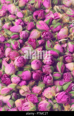 Texture de fond les bourgeons roses Vintage Banque D'Images