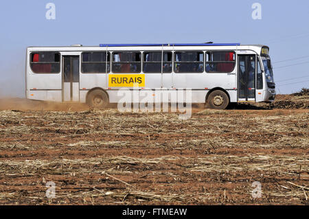 Autobus transportant des ouvriers agricoles dans les champs de canne à sucre après la récolte Banque D'Images
