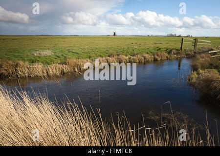 Le Drainage du mouton moulin se dresse en bordure d'une voie navigable à marais Halvergate les Norfolk Broads, East Anglia, Angleterre, RU Banque D'Images