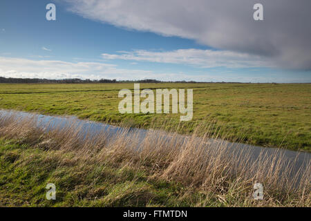 Le Drainage du mouton moulin se dresse en bordure d'une voie navigable à marais Halvergate les Norfolk Broads, East Anglia, Angleterre, RU Banque D'Images