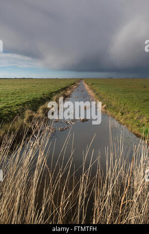 Le Drainage du mouton moulin se dresse en bordure d'une voie navigable à marais Halvergate les Norfolk Broads, East Anglia, Angleterre, RU Banque D'Images