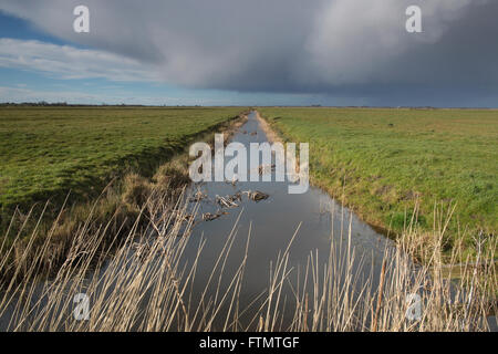 Le Drainage du mouton moulin se dresse en bordure d'une voie navigable à marais Halvergate les Norfolk Broads, East Anglia, Angleterre, RU Banque D'Images