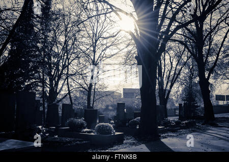 Soleil qui brille dans le noir et de cimetière Banque D'Images