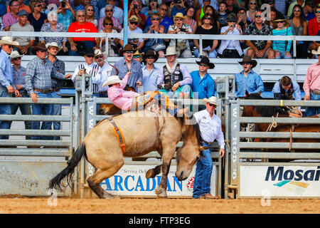 Le cow-boy à cheval Bucking Bronco Arcadia Rodeo, Florida, USA Banque D'Images