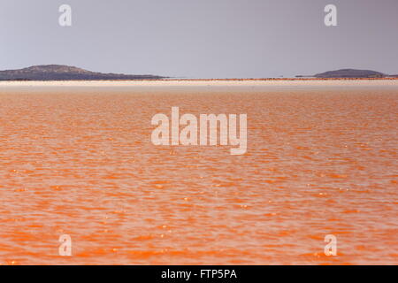 Les eaux du lac rougeâtre-Karum ou Assale-saison sèche-superficiellement inondé par l'orage tombé sur les hautes terres voisines 3 jours avant-Danakil. Banque D'Images