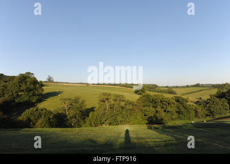 Tôt le matin, vue sur les Howardian Hills près du village de Gilling est à la fin de l'été. Ryedale District, N.Yorkshire, Angleterre Banque D'Images