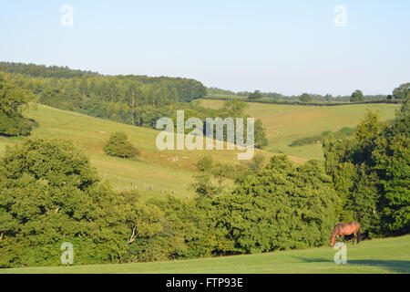 Tôt le matin, vue sur les Howardian Hills près du village de Gilling est à la fin de l'été. Ryedale District, N.Yorkshire, Angleterre Banque D'Images