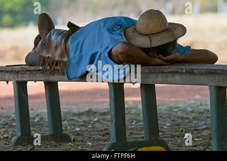 Pion dormir sur banc de ferme Sud Pantanal Banque D'Images