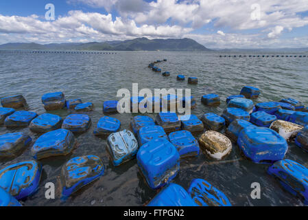 Bouées Pour ferme marine - culture des huîtres et palourdes - quartier de la ville de Ribeirão Banque D'Images