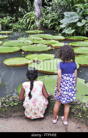 Les enfants regardant les nénuphars sur le lac dans le Musée Goeldi Banque D'Images
