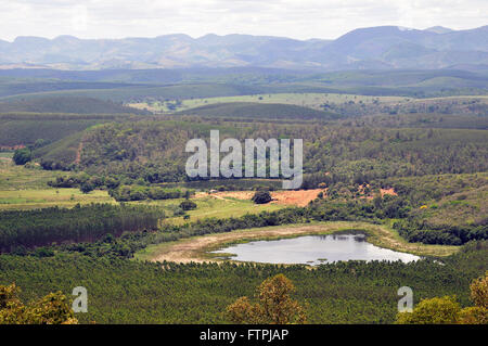 Plantation d'eucalyptus arbres entourant le Rio Doce State Park Banque D'Images