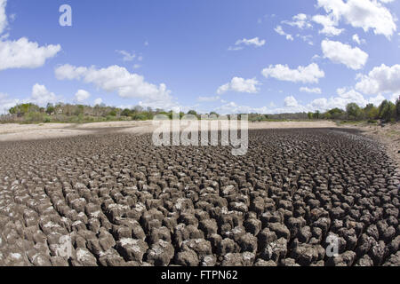 Plus de détails lit cow head - à sec à cause de la sécheresse Banque D'Images