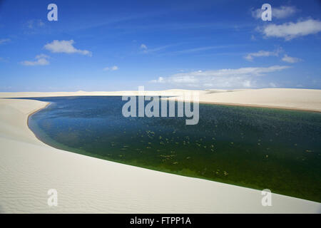 Paysage de dunes et de l'étang dans le Parc National Lencois Maranhenses Banque D'Images