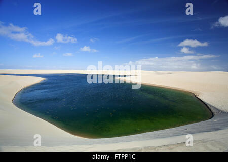 Paysage avec Dune et étang dans le parc national du Maranhao Lencois Banque D'Images